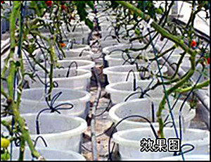 案例效果图