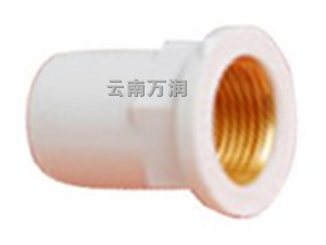 WR877内丝直接