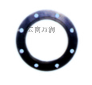 WR8102防腐法兰盘