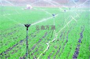 摇臂喷头效果图2